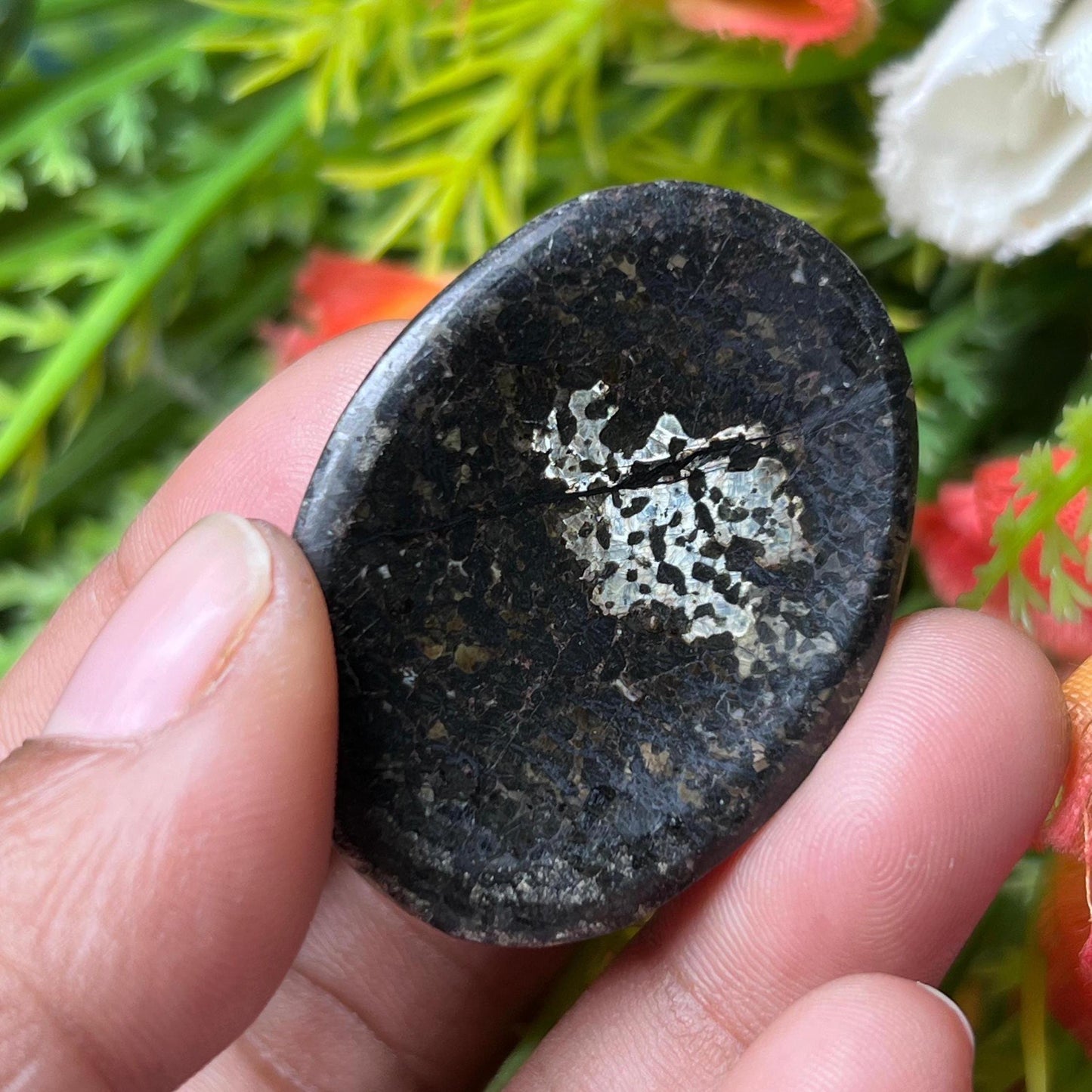 Nuummite Stone Worry Stone – Pocket Stone – Thumb Stone One (1) Piece