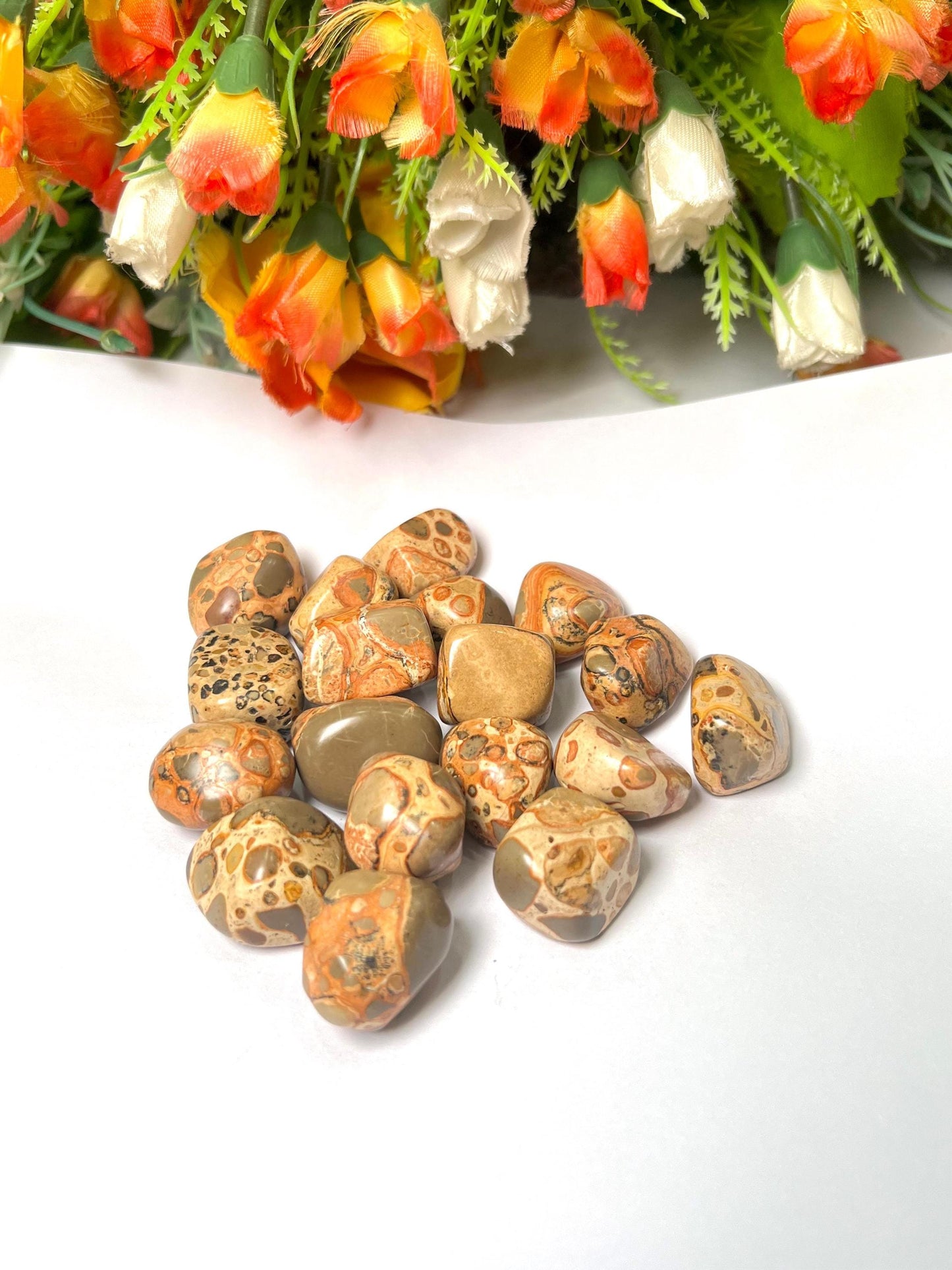 Leopardskin Jasper Stone Tumbled Stone - Spiritual Stone -Healing Crystals in pack sizes of 1,3,5, and 10 Pieces Quality AAAAA +++++