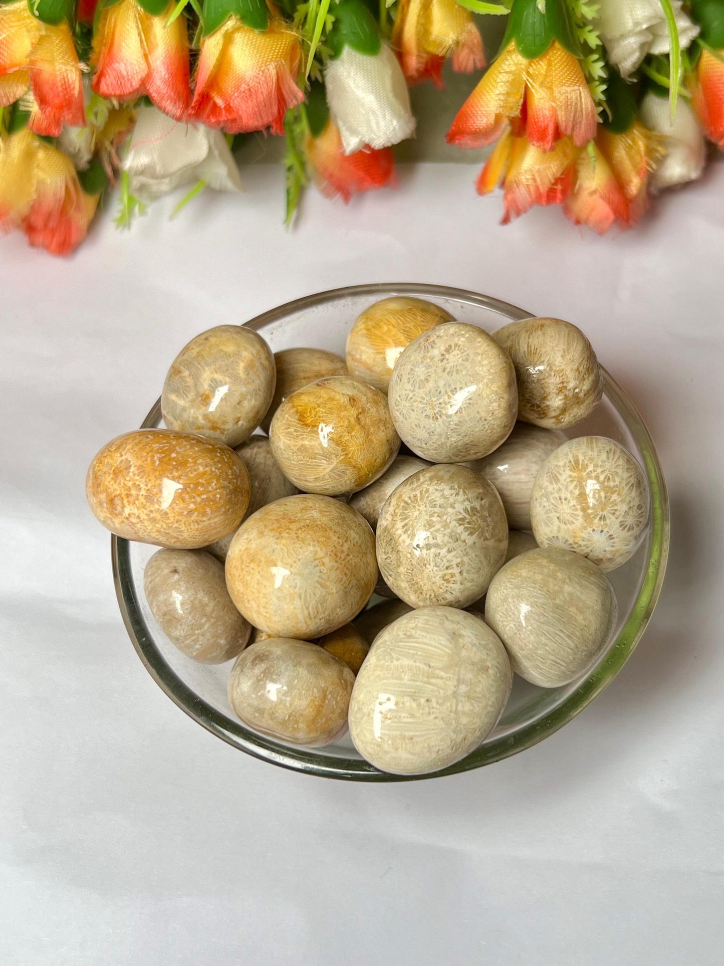 Fossil Coral Stone Tumbled Stone - Spiritual Stone -Healing Crystals in pack sizes of 1,3,5, and 10 Pieces Quality AAAAA +++++
