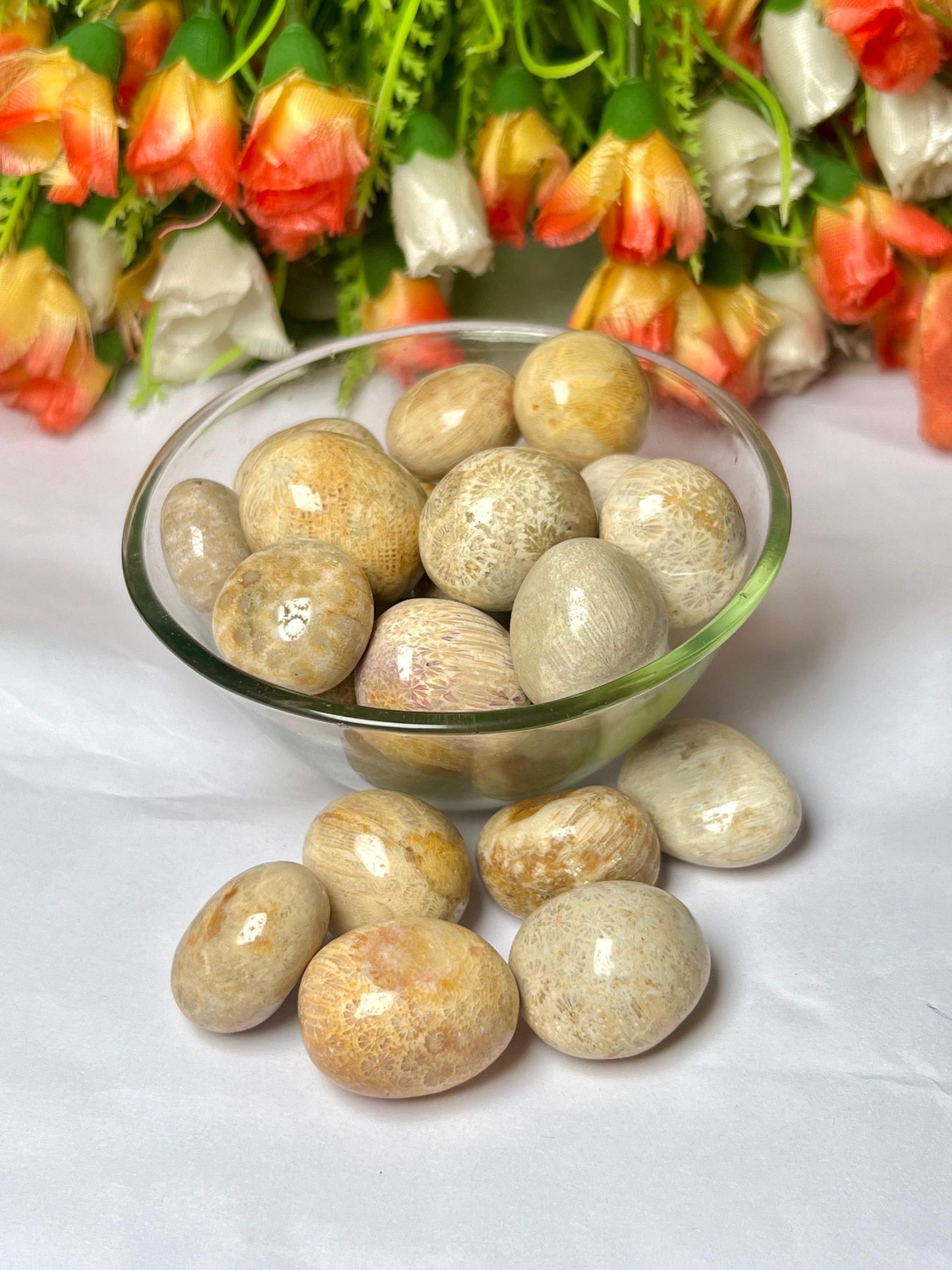 Fossil Coral Stone Tumbled Stone - Spiritual Stone -Healing Crystals in pack sizes of 1,3,5, and 10 Pieces Quality AAAAA +++++