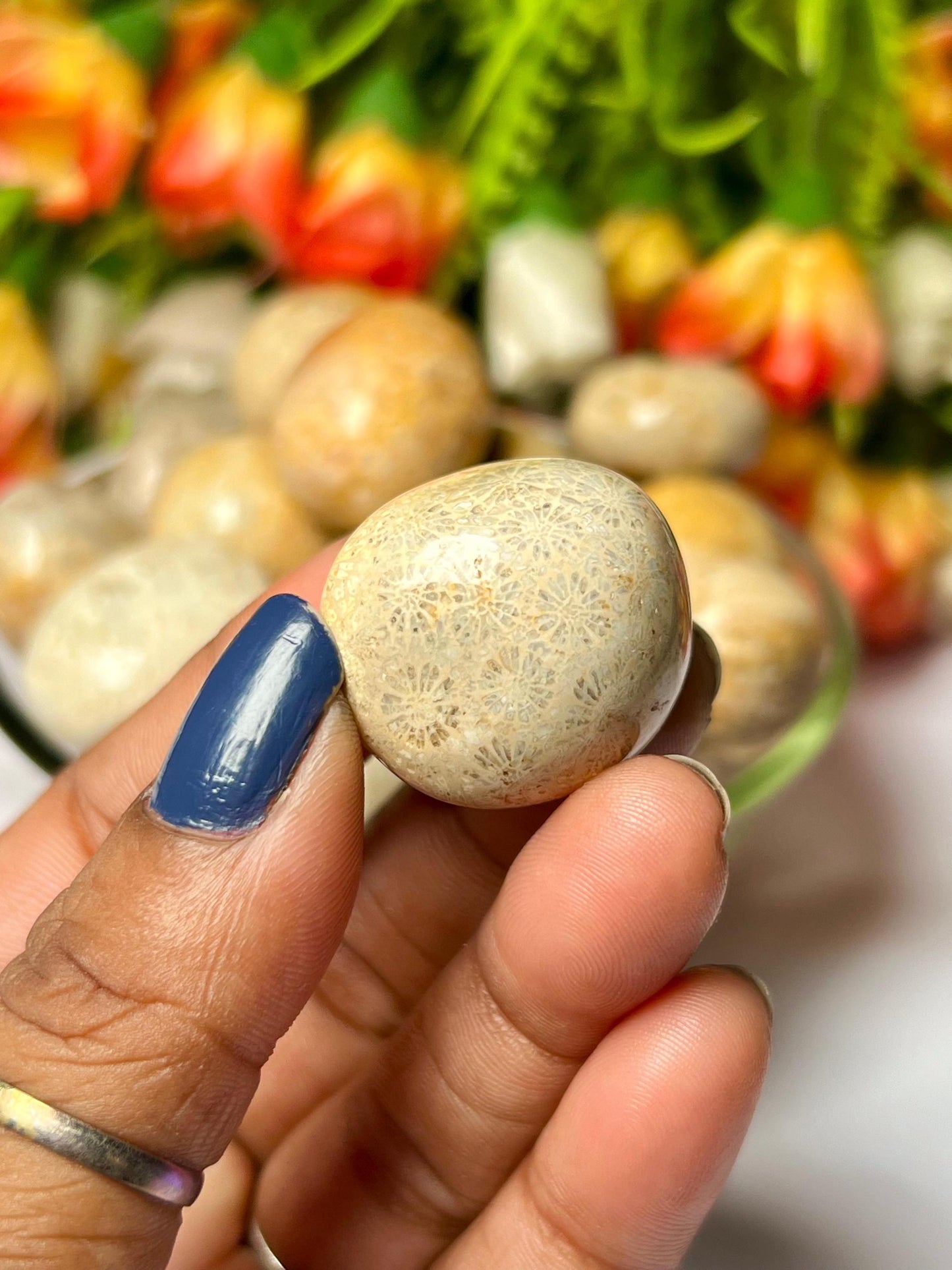 Fossil Coral Stone Tumbled Stone - Spiritual Stone -Healing Crystals in pack sizes of 1,3,5, and 10 Pieces Quality AAAAA +++++