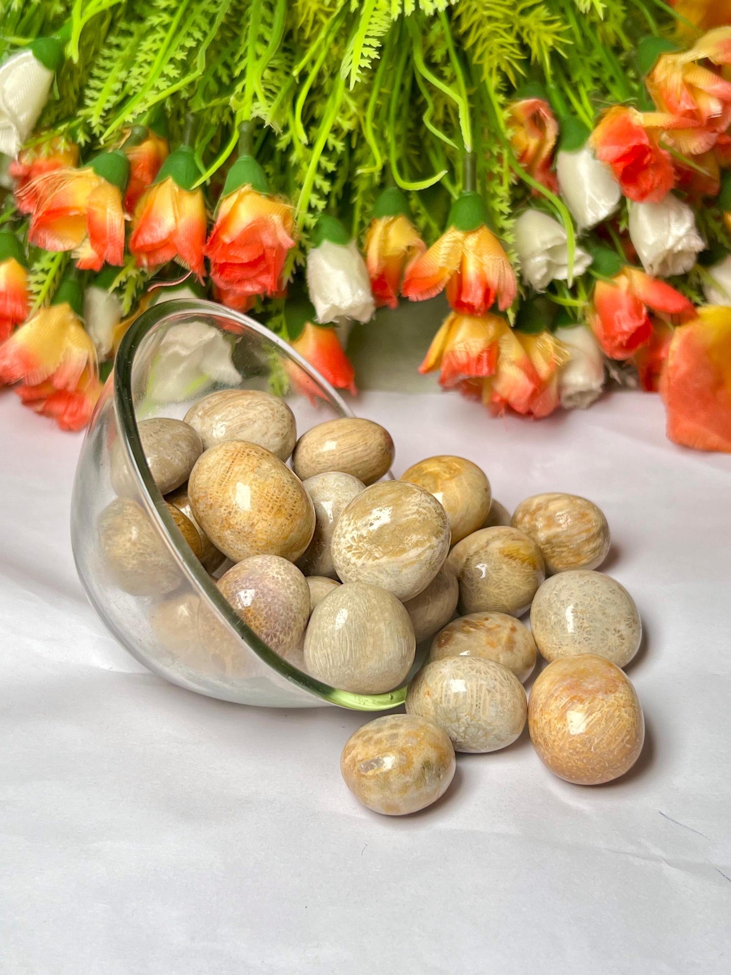 Fossil Coral Stone Tumbled Stone - Spiritual Stone -Healing Crystals in pack sizes of 1,3,5, and 10 Pieces Quality AAAAA +++++