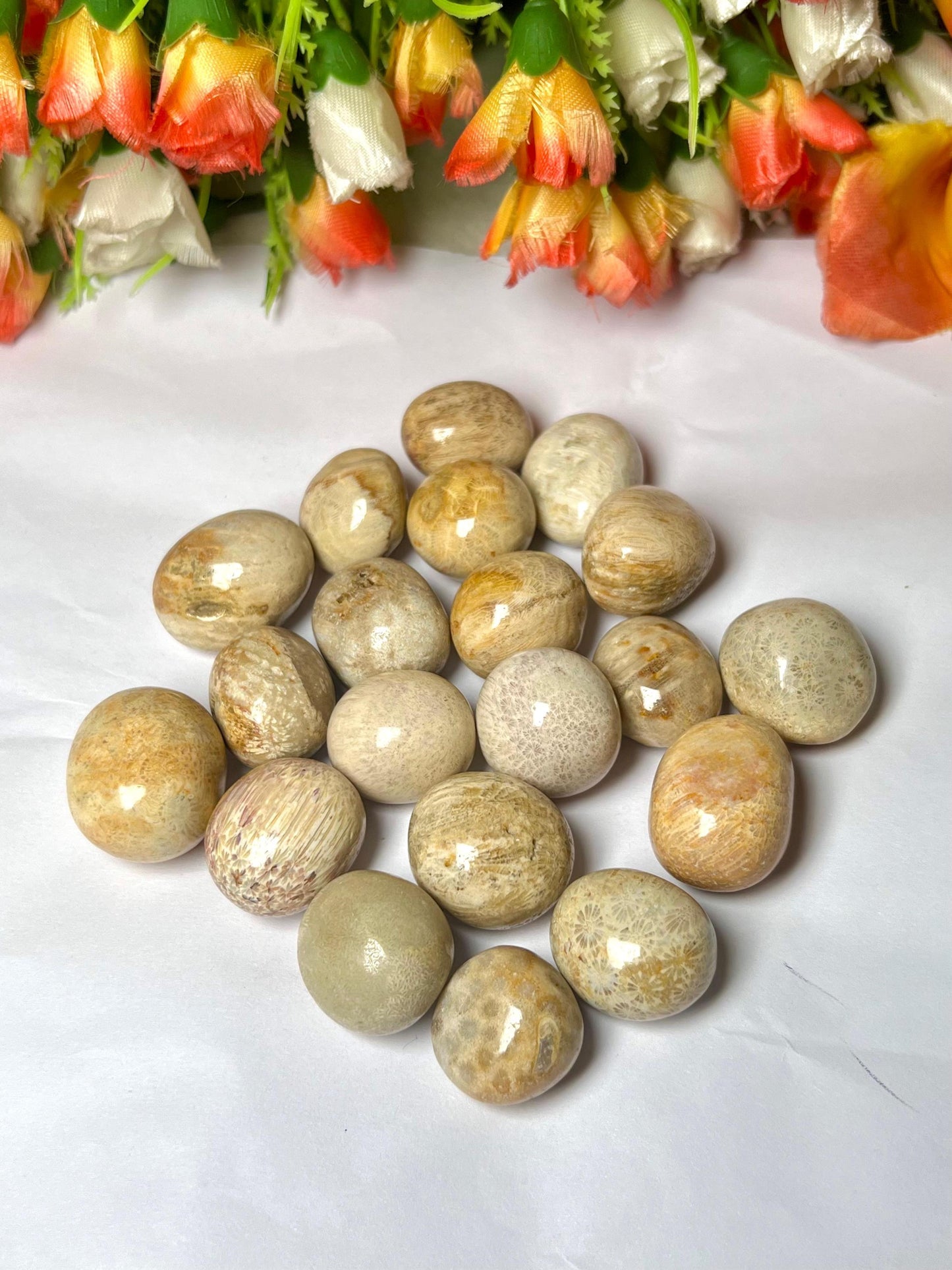 Fossil Coral Stone Tumbled Stone - Spiritual Stone -Healing Crystals in pack sizes of 1,3,5, and 10 Pieces Quality AAAAA +++++