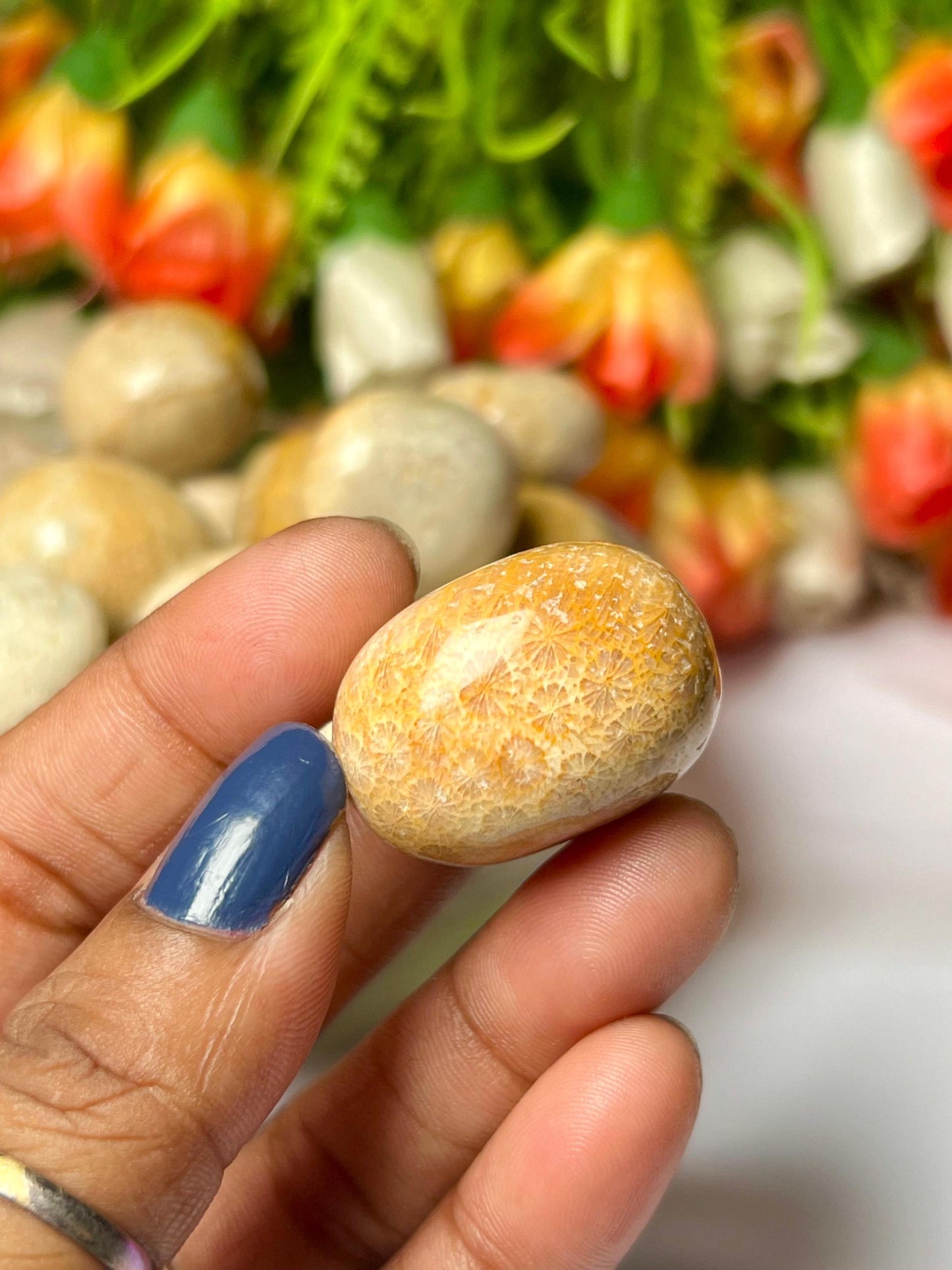 Fossil Coral Stone Tumbled Stone - Spiritual Stone -Healing Crystals in pack sizes of 1,3,5, and 10 Pieces Quality AAAAA +++++