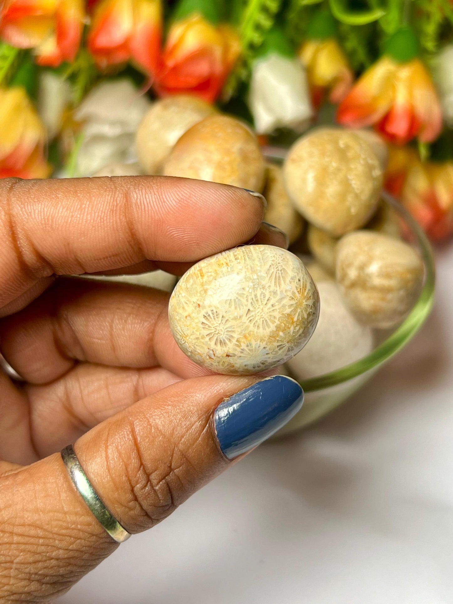 Fossil Coral Stone Tumbled Stone - Spiritual Stone -Healing Crystals in pack sizes of 1,3,5, and 10 Pieces Quality AAAAA +++++