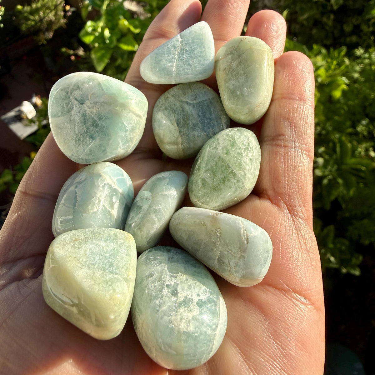 Pale blue-green aquamarine tumbled stones in an open hand