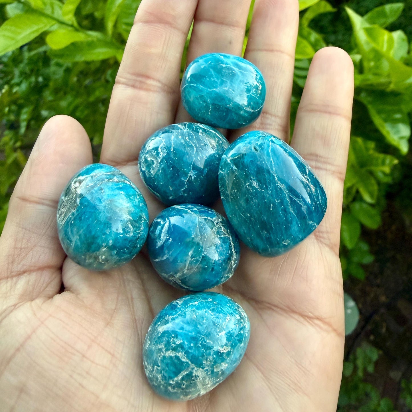 Blue Apatite Stone – Tumbled Crystal for Clarity, Focus & Manifestation | Third Eye and Throat Chakra