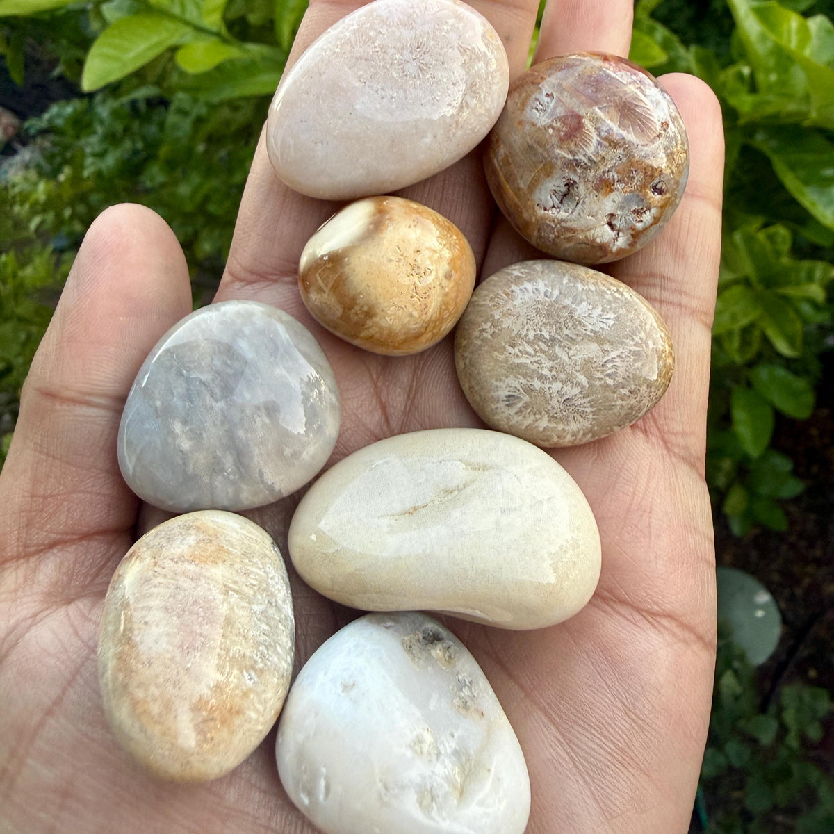 Tumbled Fossil Stone – Natural Fossil Tumble, Fossilized Tumbled Stone, Polished Fossil Specimen, Ancient Fossil Collectible