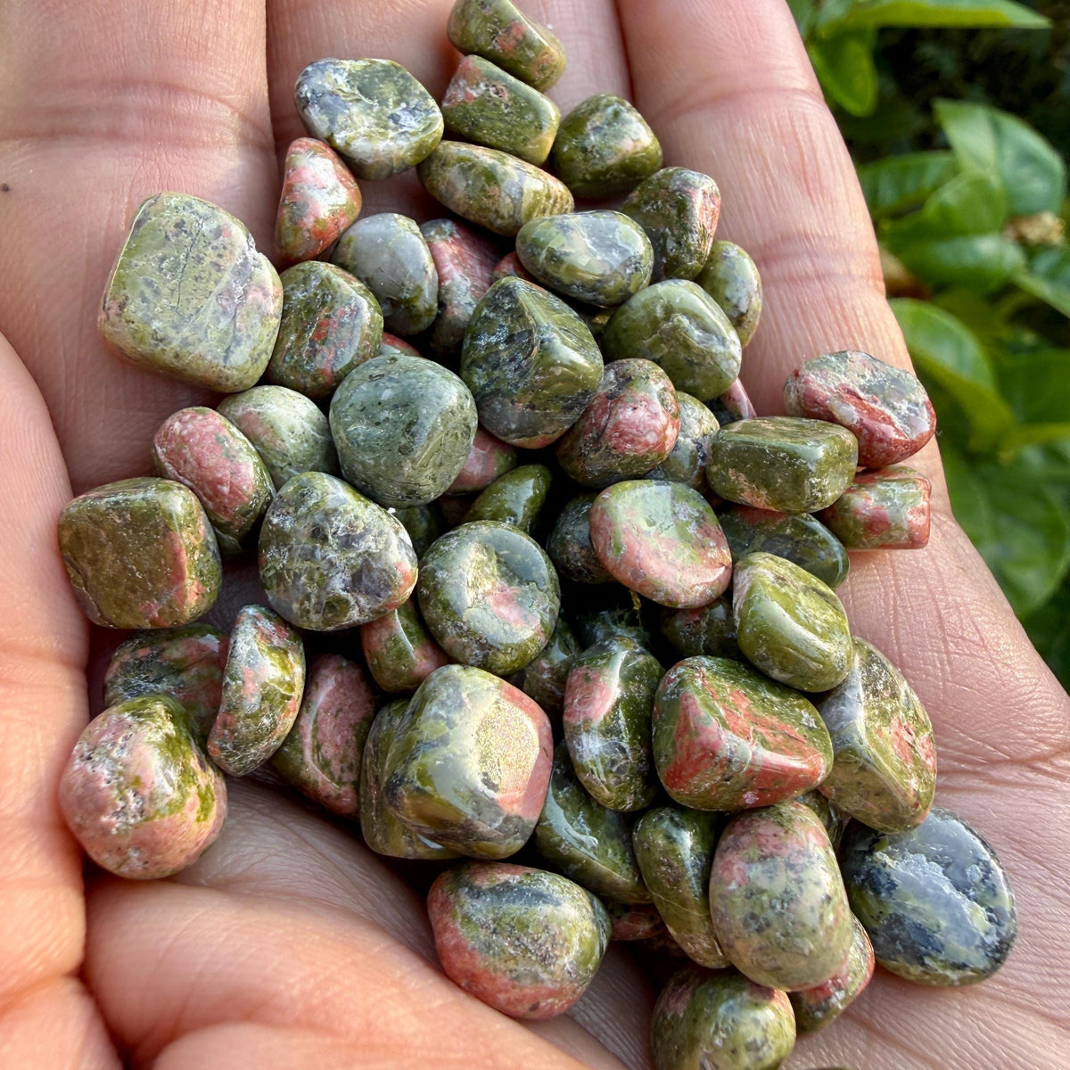 Unakite Chips β Chipped Unakite | Natural Unakite Stone Chips | Raw Unakite Chips | Rough Unakite Chips | Pink Green Unakite Chips