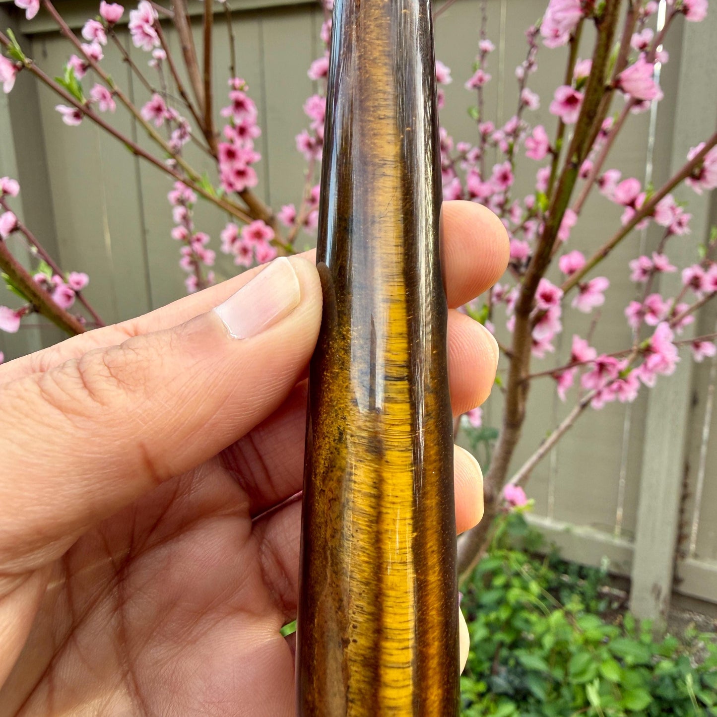 Hand holding a tiger's eye crystal with pink flowering branches in the background