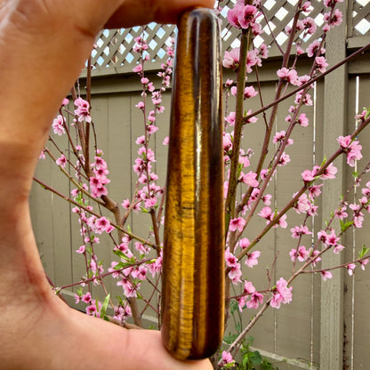 Tiger's eye stone held in front of pink flowering branches