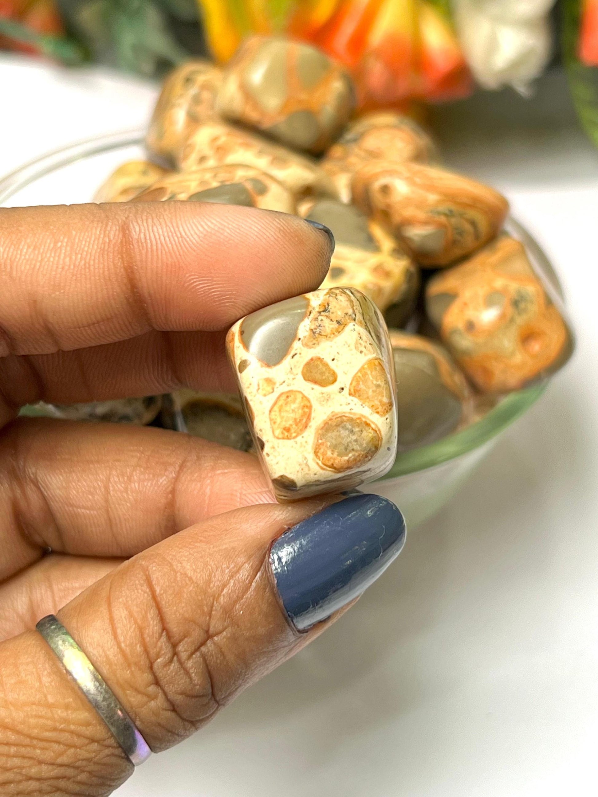 Leopardskin Jasper Stone Tumbled Stone - Spiritual Stone -Healing Crystals in pack sizes of 1,3,5, and 10 Pieces Quality AAAAA +++++