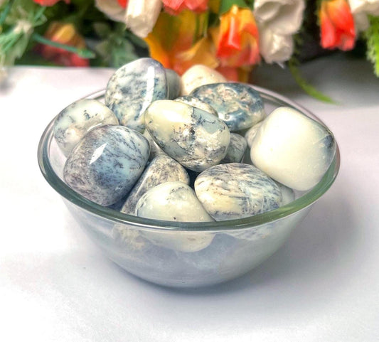 Dendritic Agate Stone Tumbled Stone - Spiritual Stone -Healing Crystals in pack sizes of 1,3,5, and 10 Pieces Quality AAAAA +++++
