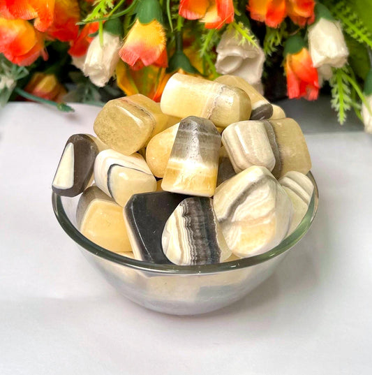 Yellow Zebra Jasper Stone Tumbled Stone - Spiritual Stone -Healing Crystals in pack sizes of 1,3,5, and 10 Pieces Quality AAAAA +++++