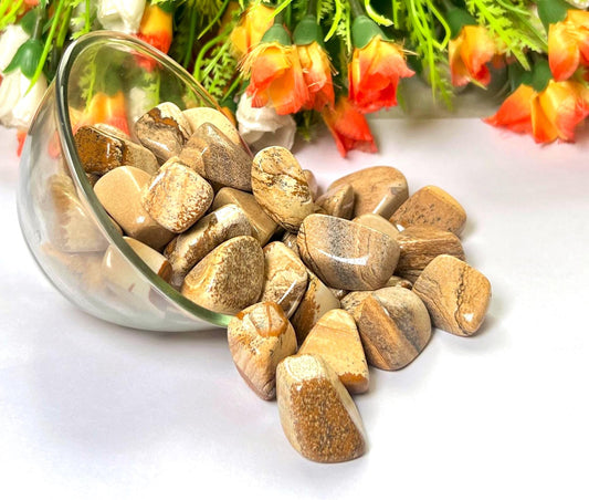 Picture Jasper Stone Tumbled Stone - Spiritual Stone -Healing Crystals in pack sizes of 1,3,5, and 10 Pieces Quality AAAAA +++++