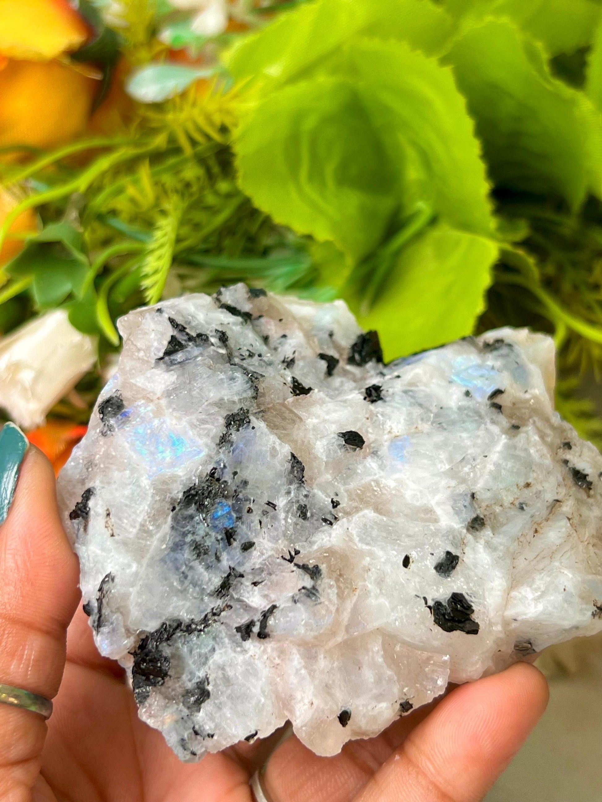 Premium White Rainbow Moonstone Crystal Natural Rough Stone with Beautiful Rainbow 198 Gram