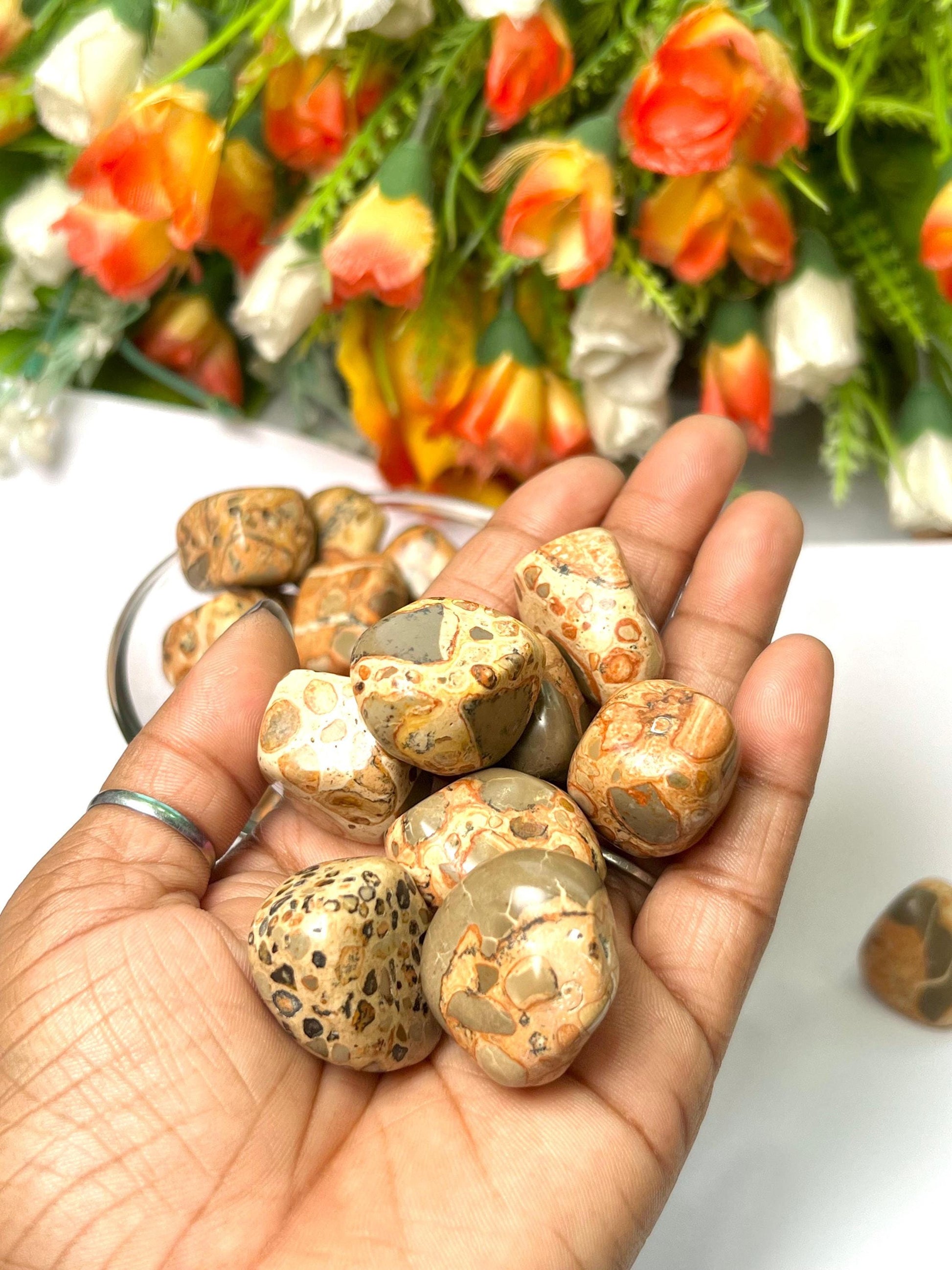 Leopardskin Jasper Stone Tumbled Stone - Spiritual Stone -Healing Crystals in pack sizes of 1,3,5, and 10 Pieces Quality AAAAA +++++