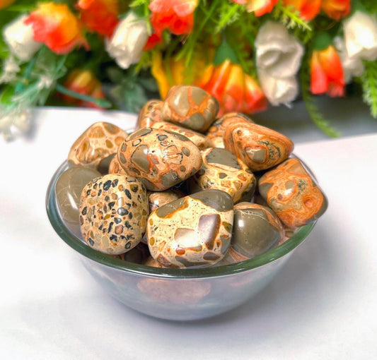 Leopardskin Jasper Stone Tumbled Stone - Spiritual Stone -Healing Crystals in pack sizes of 1,3,5, and 10 Pieces Quality AAAAA +++++
