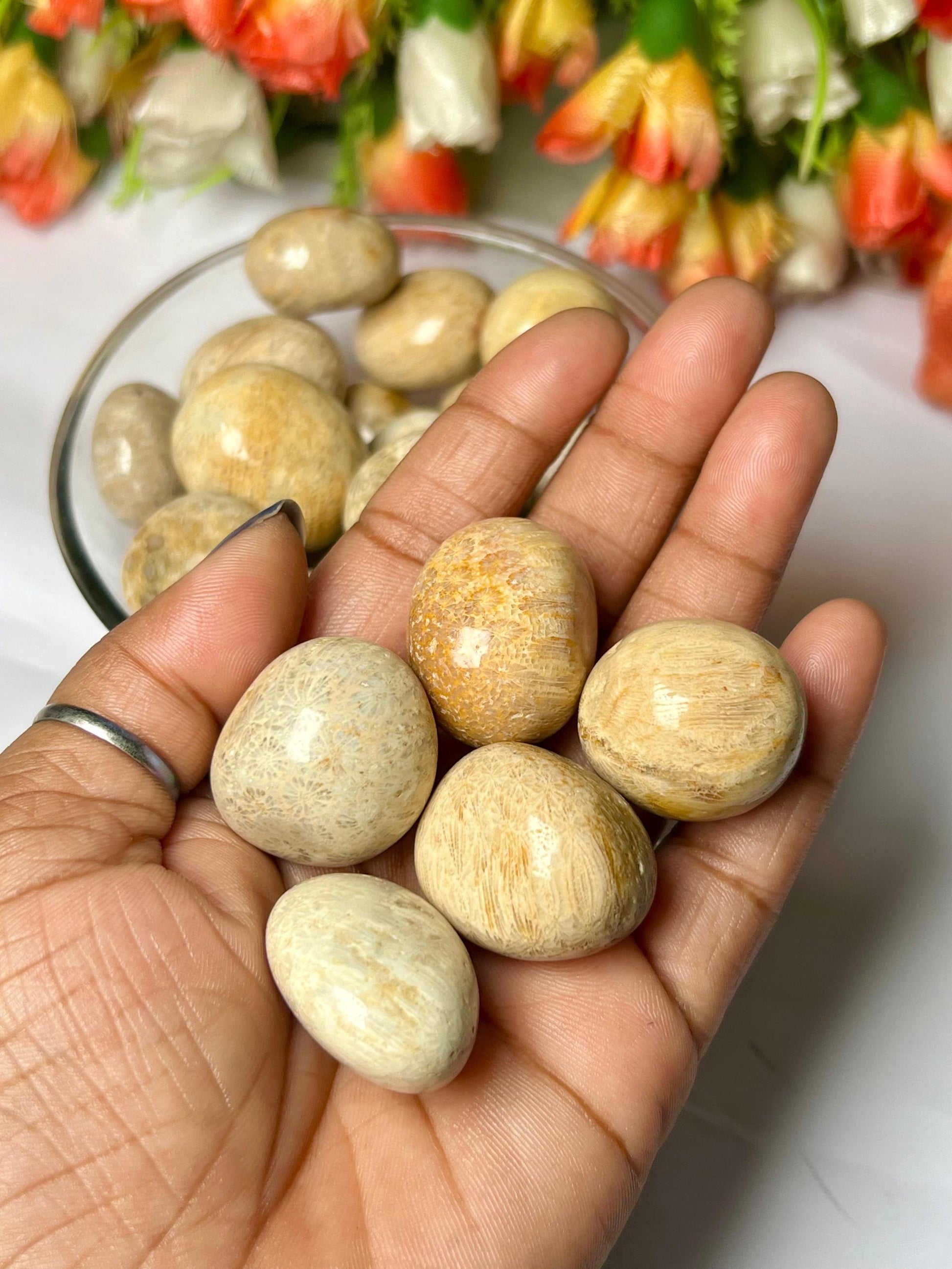 Fossil Coral Stone Tumbled Stone - Spiritual Stone -Healing Crystals in pack sizes of 1,3,5, and 10 Pieces Quality AAAAA +++++
