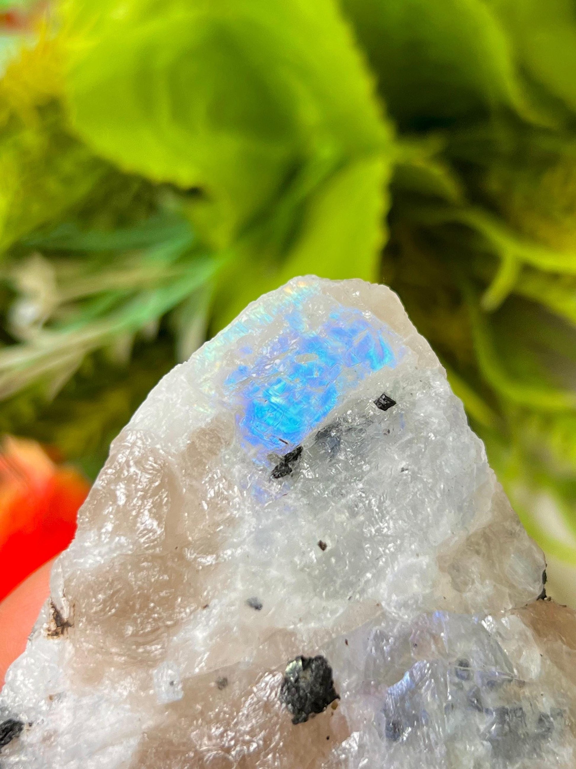 Premium White Rainbow Moonstone Crystal Natural Rough Stone with Beautiful Rainbow 100 Gram