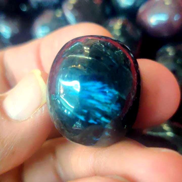 Nuummite With Garnet & Arfvedsonite Tumbled Stone - Spiritual-Healing Crystals in pack sizes of 1,3,5, and 10 Pieces Quality AAAAA +++++