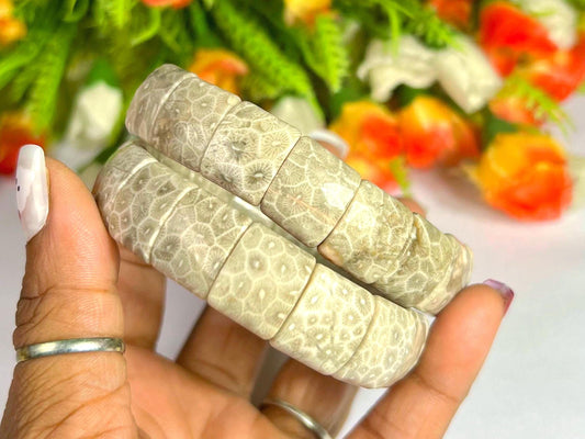 15 MM Fossil Coral Stone Bracelet l Stretchable Bracelet