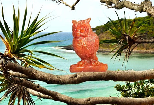 Beautiful Carnelian Stone Carving Owl Bird - Healing Crystal - Home Decoration - Reiki Healing - Gift for All 212 Gram