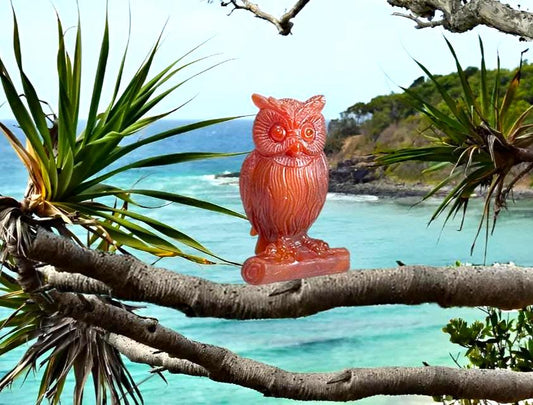 Carnelian Stone Owl - Healing Crystal - Home Decoration - Reiki Healing - Gift for All 129 Gram
