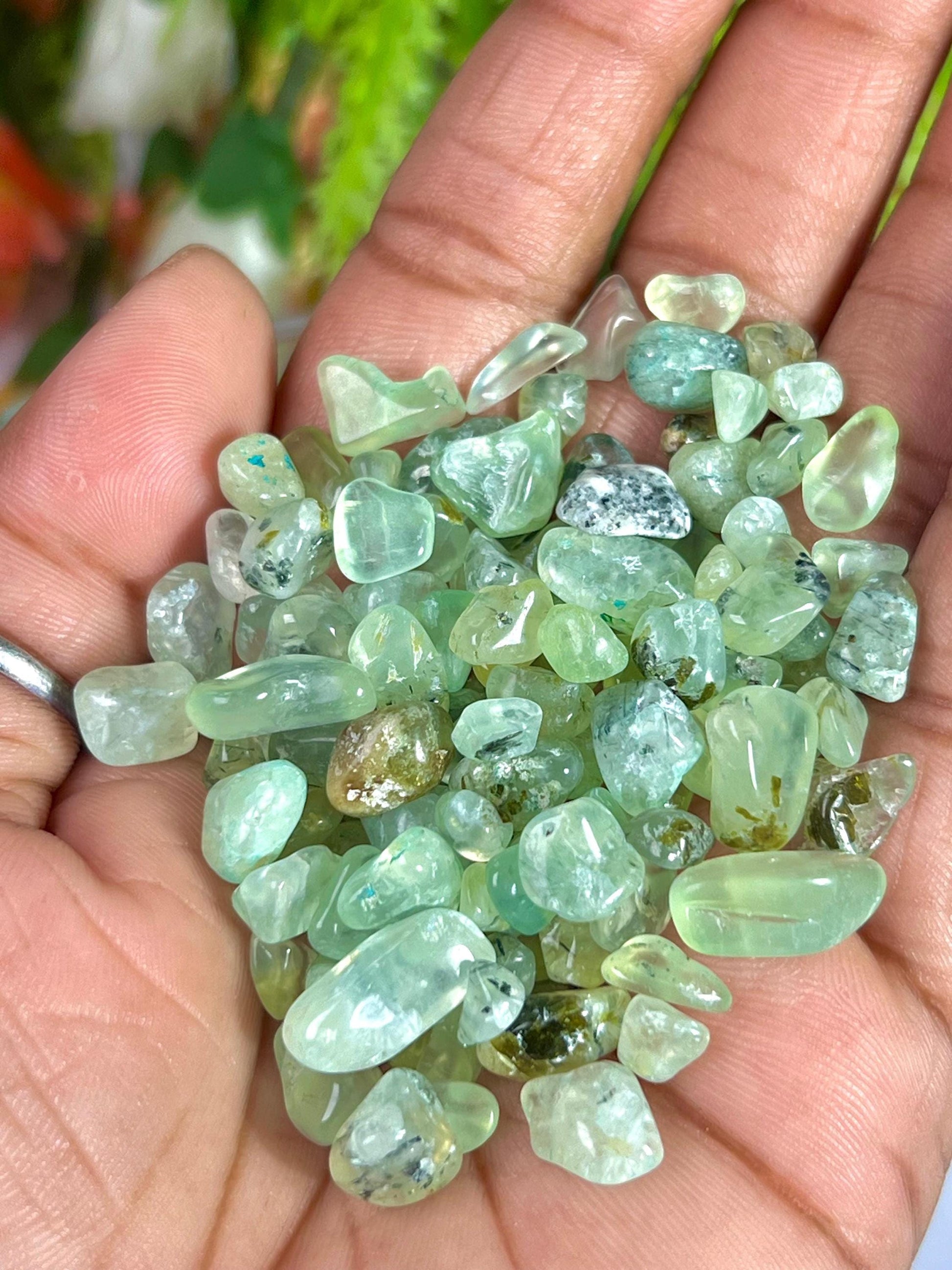 Prehnite Stone Chips Stone - Spiritual Stone -Healing Crystals in pack Quality AAAAA +++++