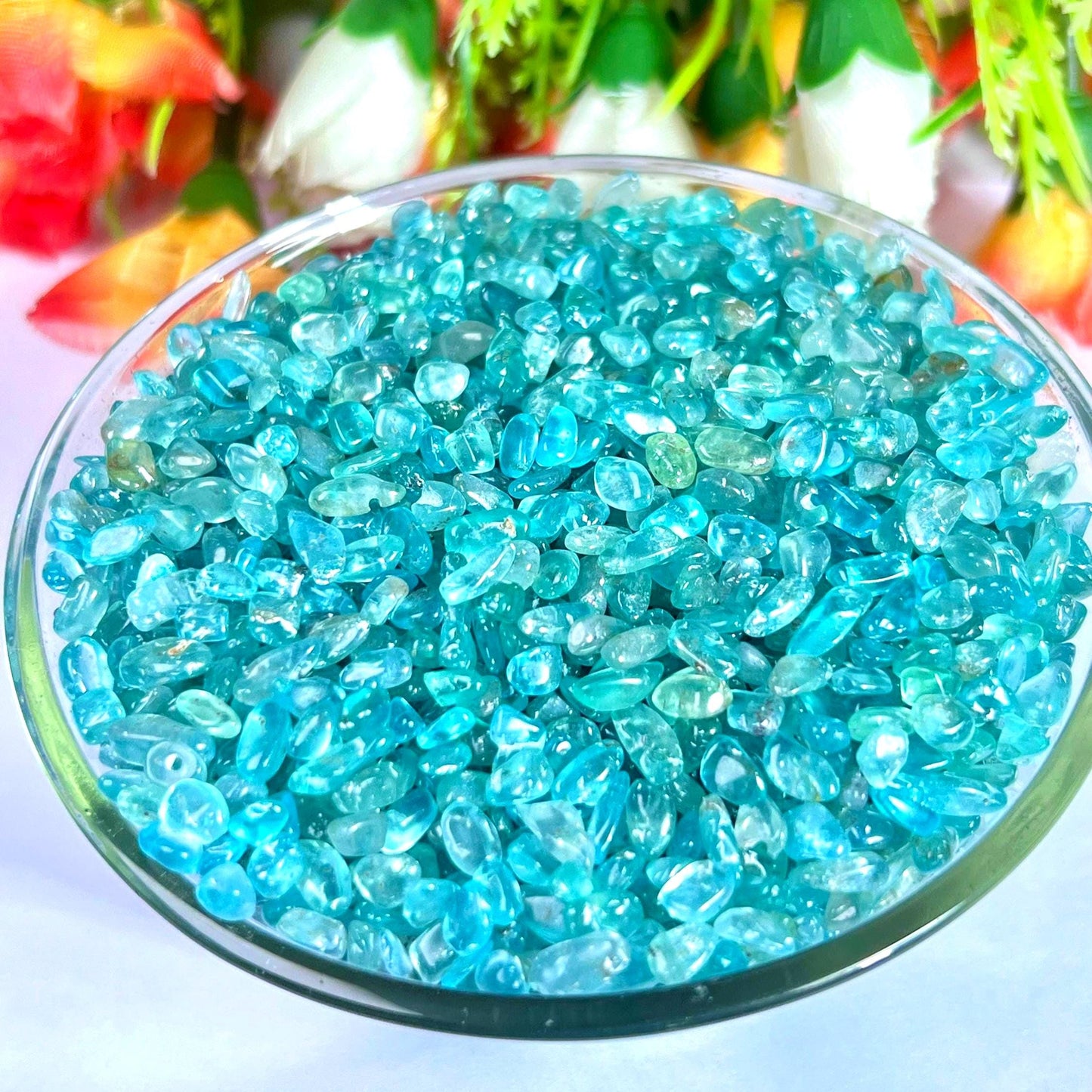 Neon Blue Apatite Stone Chips Stone - Spiritual Stone -Healing Crystals in pack Quality AAAAA +++++