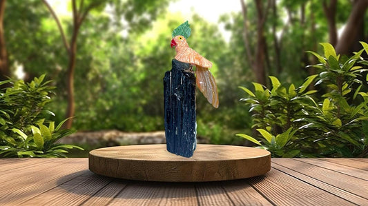 Beautiful Peach Moonstone Crystal Parrot Bird On Black Tourmaline Rough- Healing Crystal - Home Decoration - Reiki Healing - Gift for All