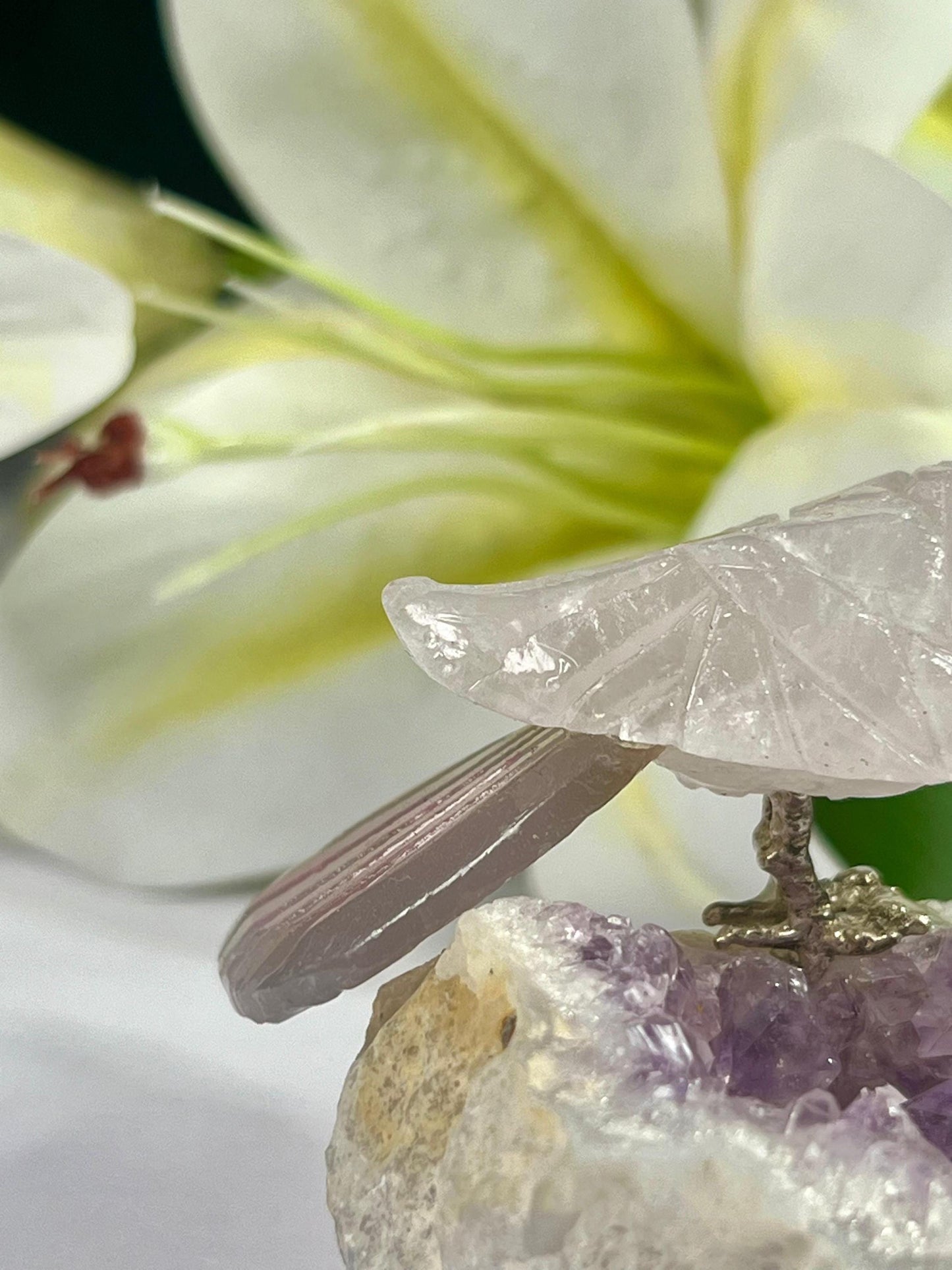 Beautiful  Himalayan Crystal Stone Parrot Bird On Amethyst Geode Mineral Healing Crystal - Home Decoration-Reiki Healing - Gift for All