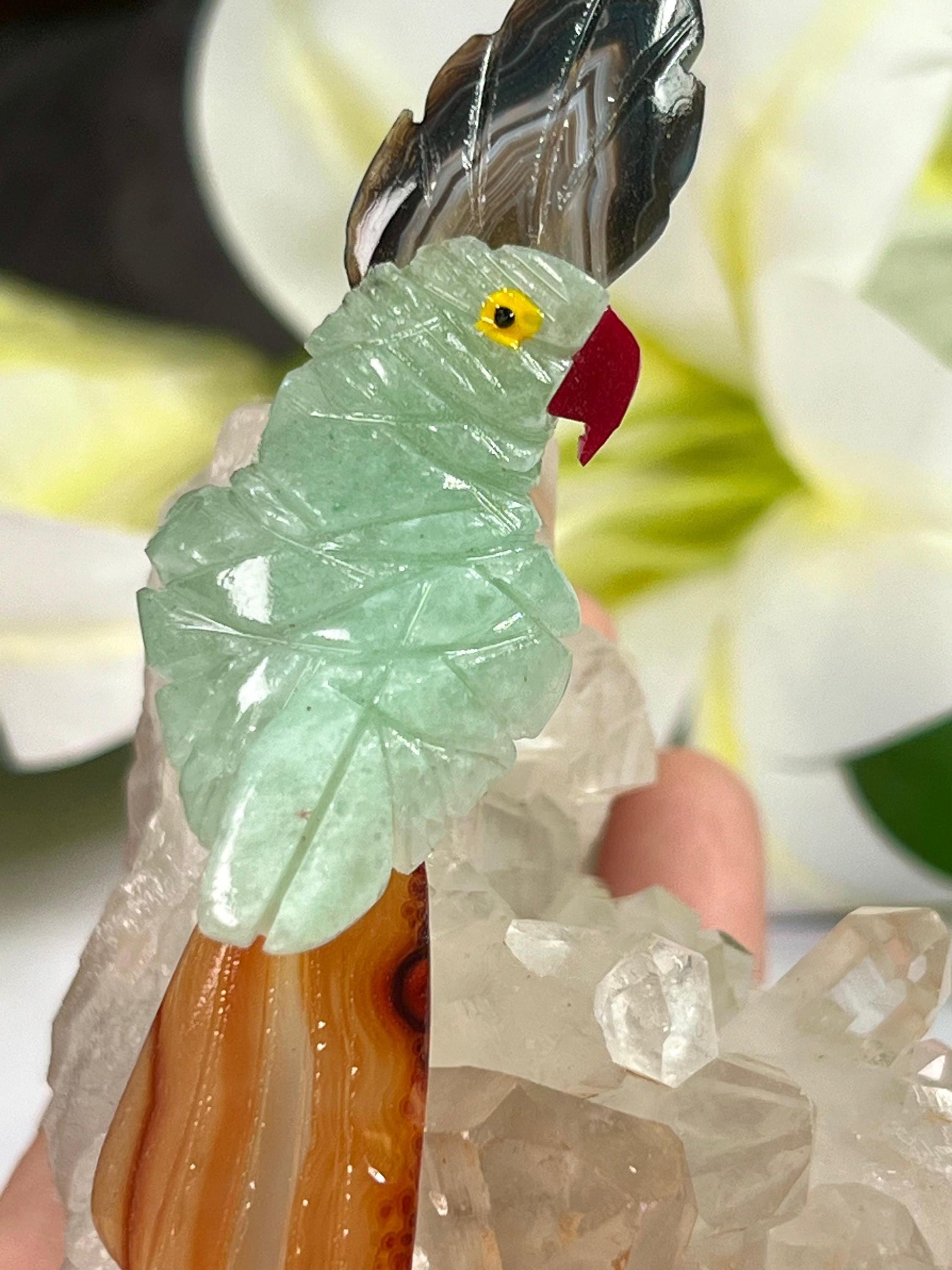 Beautiful Green Aventurine Parrot Bird On Samadhi Quartz - Healing Crystal - Home Decoration - Reiki Healing - Gift for All