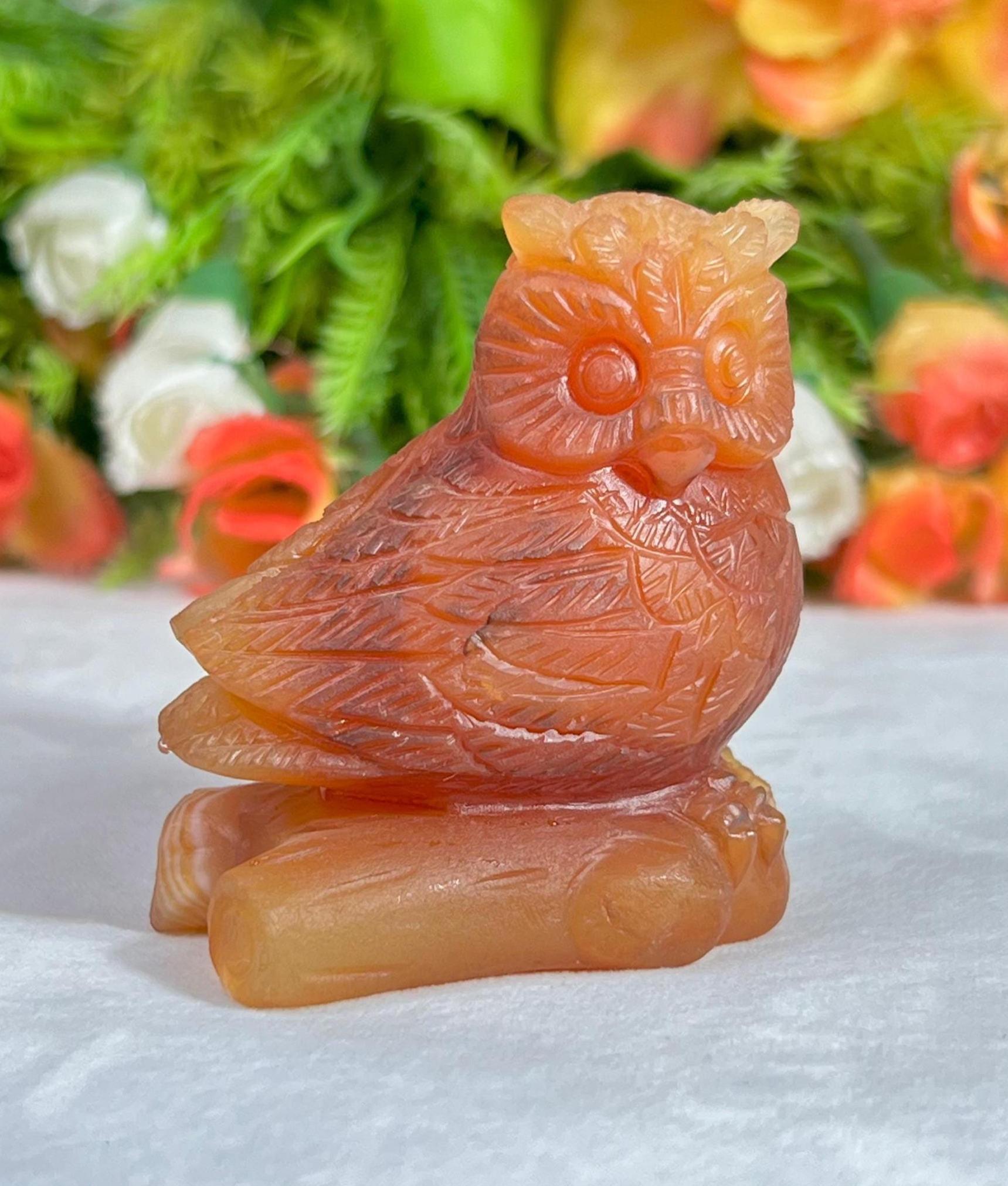 Beautiful Carnelian Stone Carving Owl Bird - Healing Crystal - Home Decoration - Reiki Healing - Gift for All 143 Gram