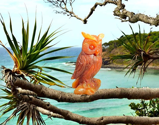 Beautiful Carnelian Stone Carving Owl Bird - Healing Crystal - Home Decoration - Reiki Healing - Gift for All 174 Gram