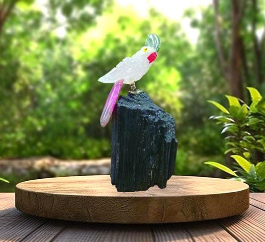 Beautiful Himalayan Crystal Parrot Bird On Black Tourmaline - Healing Crystal - Home Decoration - Reiki Healing - Gift for All