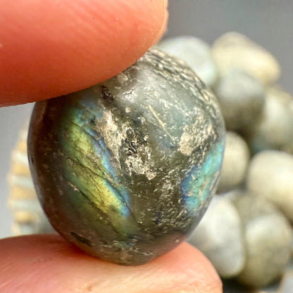 Labradorite Tumbled Stone – Natural Crystal for Intuition, Protection, Transformation & Magic