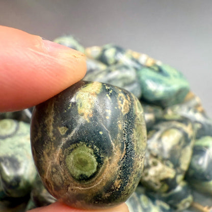 Kambaba Jasper Tumbled Stone – Natural Crystal for Grounding, Peace, Protection & Ancient Earth Energy