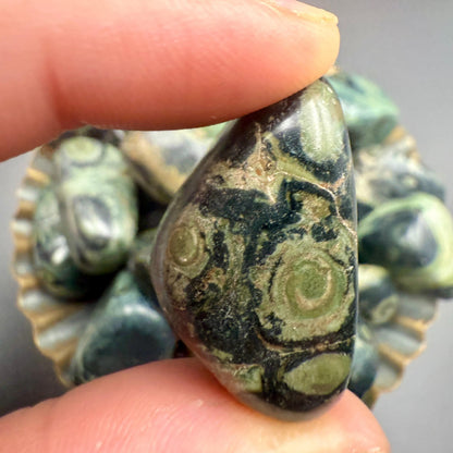 Kambaba Jasper Tumbled Stone – Natural Crystal for Grounding, Peace, Protection & Ancient Earth Energy