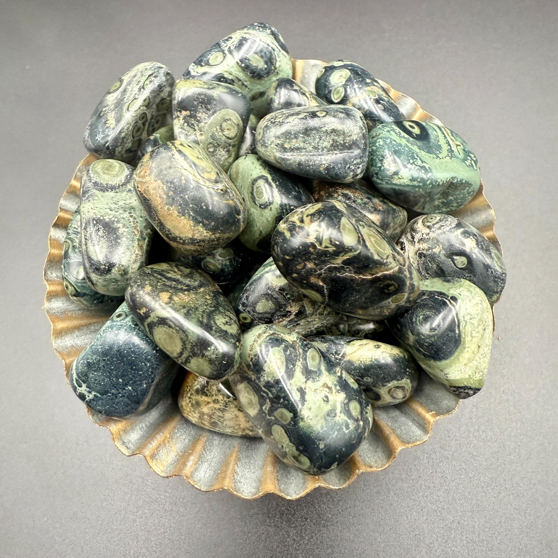 Kambaba Jasper Tumbled Stone – Natural Crystal for Grounding, Peace, Protection & Ancient Earth Energy