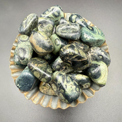 Kambaba Jasper Tumbled Stone – Natural Crystal for Grounding, Peace, Protection & Ancient Earth Energy