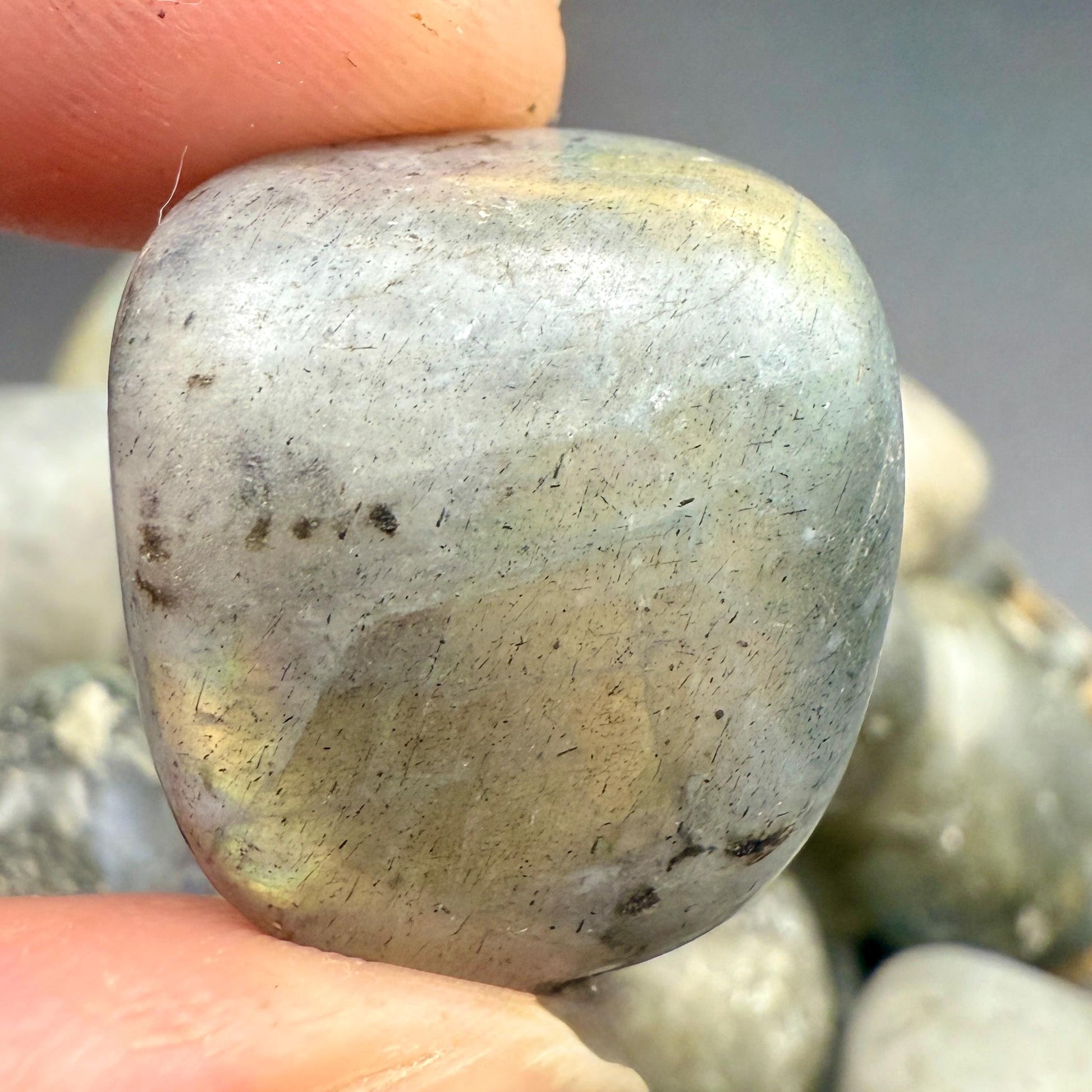 Labradorite Tumbled Stone – Natural Crystal for Intuition, Protection, Transformation & Magic