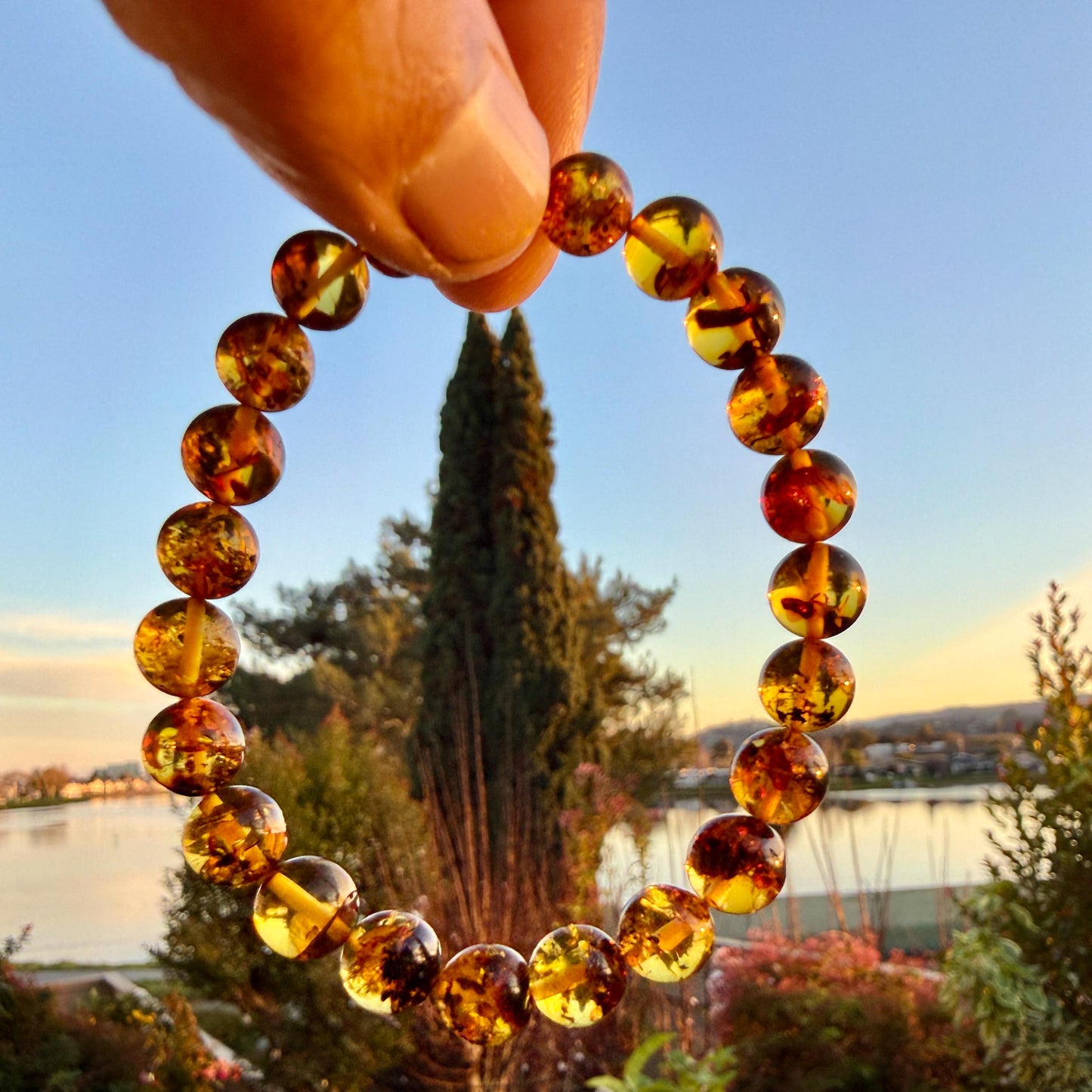 Authentic Baltic Amber Bracelet 6mm 8mm Blood Flower Amber Jewelry Gift for Babies Adults