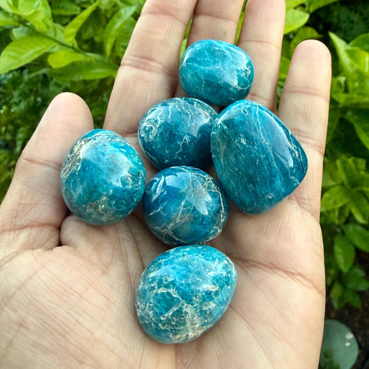 Blue Apatite Stone – Tumbled Crystal for Clarity, Focus & Manifestation | Third Eye and Throat Chakra