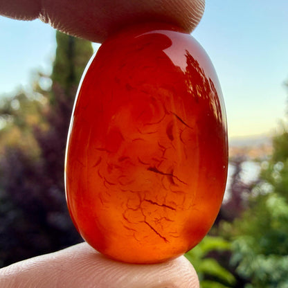 Carnelian Tumbled Stone – Natural Crystal for Motivation, Creativity, Confidence & Vitality