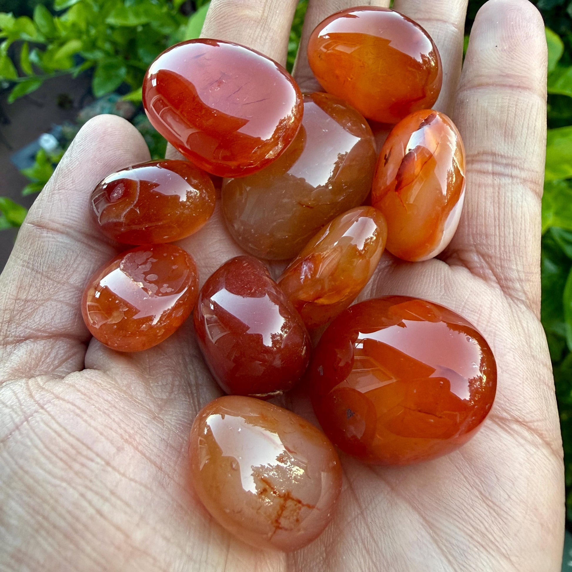 Carnelian Tumbled Stone – Natural Crystal for Motivation, Creativity, Confidence & Vitality