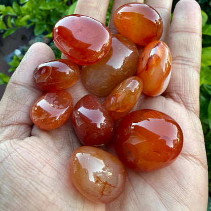 Carnelian Tumbled Stone – Natural Crystal for Motivation, Creativity, Confidence & Vitality