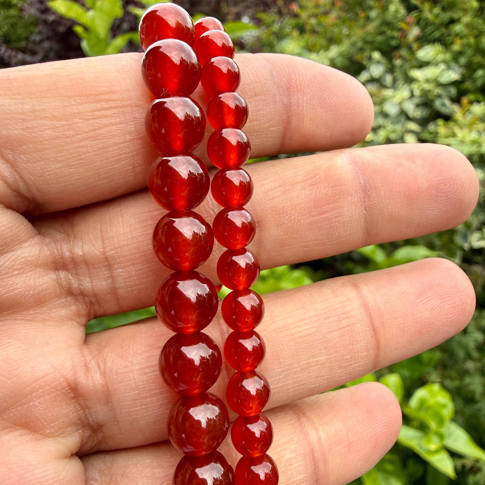 May include: Two strands of polished, deep red carnelian beads arranged in vertical lines. The beads are spherical, translucent, and exhibit a smooth, glossy finish with varying shades of rich crimson and burnt orange throughout the stones.