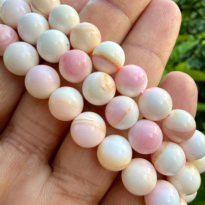 Pink Conch Shell Bracelet — Soft Tide