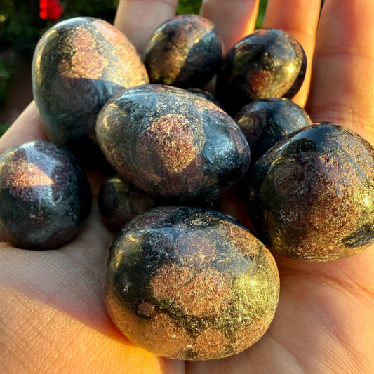 Tumbled Garnet Arfvedsonite Stone – Garnet in Arfvedsonite Tumble, Polished Mineral Tumble, Blue Black Red Gemstone